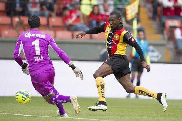 Guerrero y Anangonó titulares en el empate de Leones Negros con Cimarrones