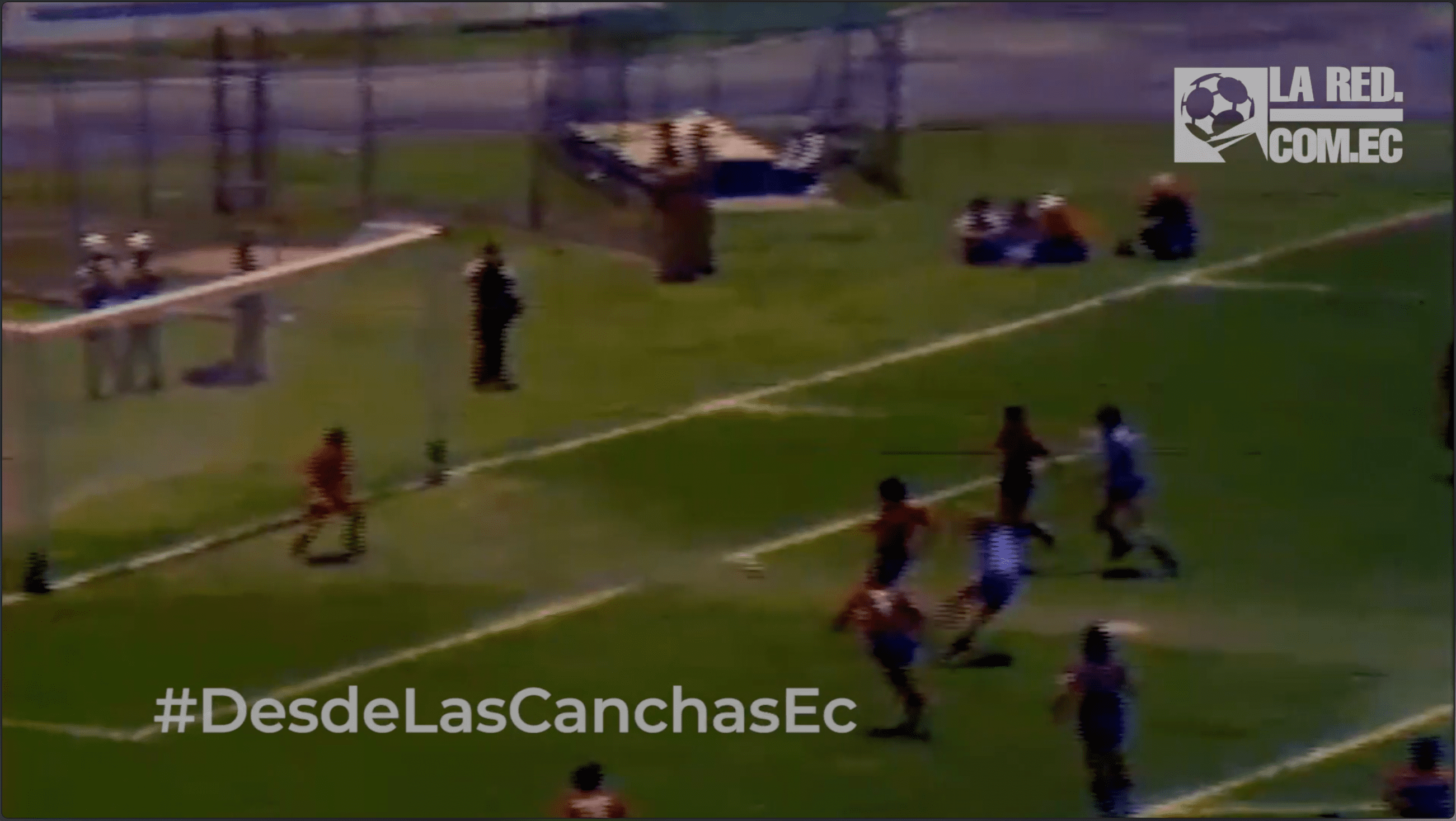 #REDiario | SEP79 | ¡Universidad Católica remontaba frente a #SDQ!