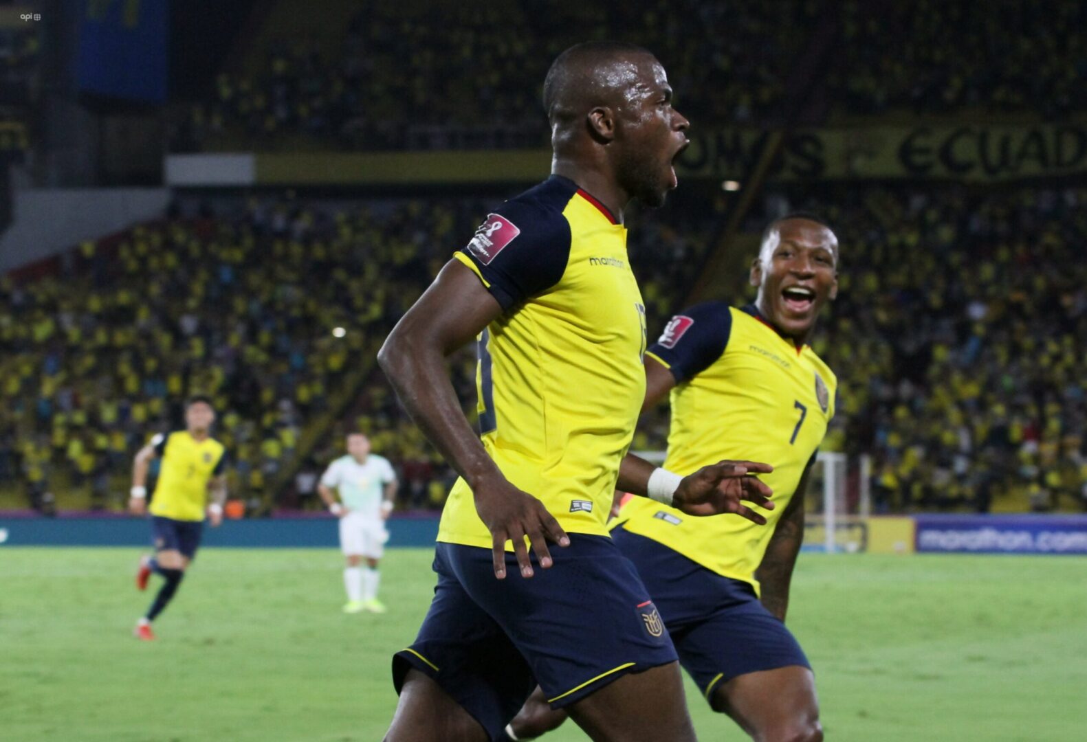 Enner Valencia y Pervis Estupiñán en el 11 ideal de la fecha 11
