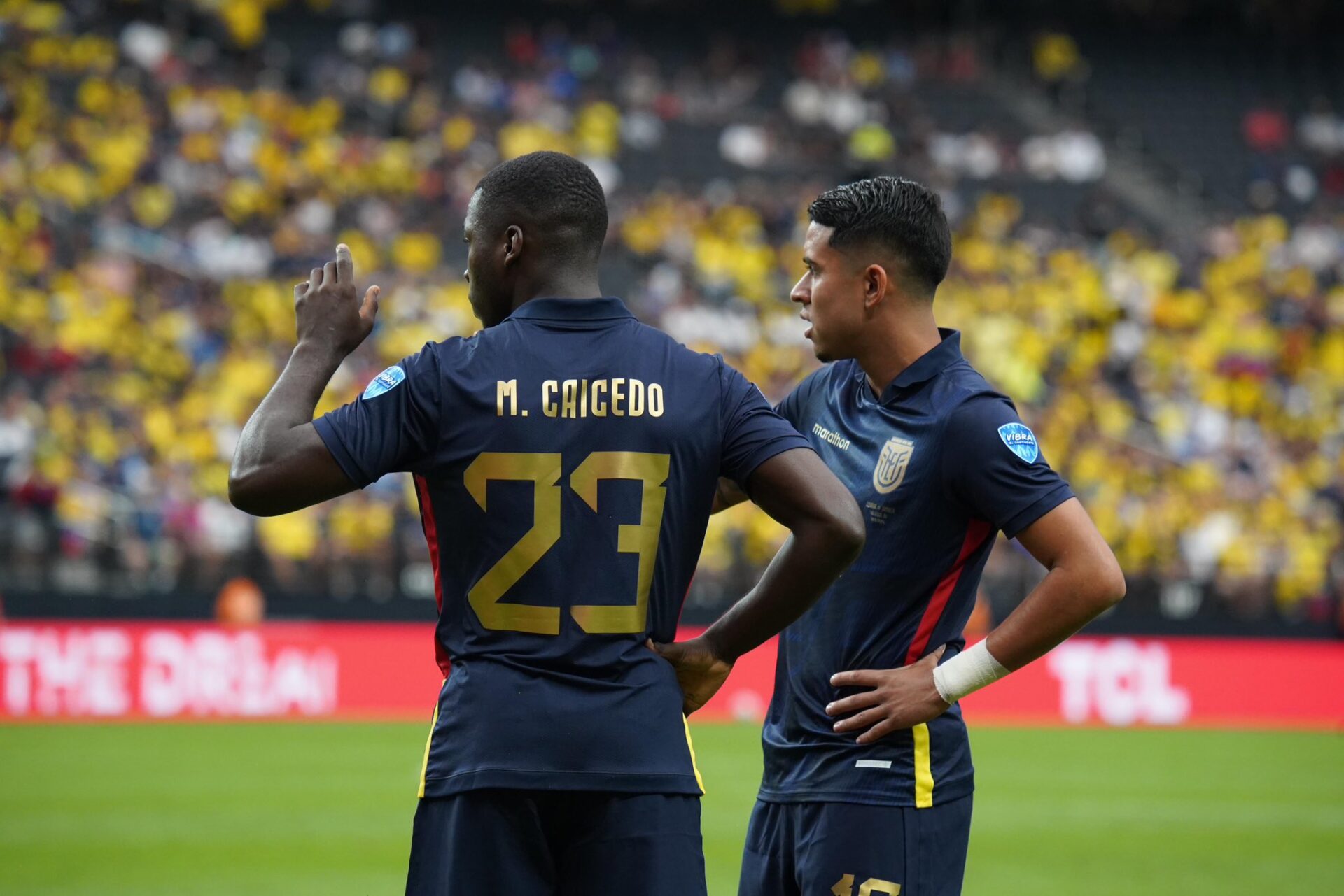 ¿Qué necesita Ecuador para clasificar a los Cuartos de Final de Copa América?