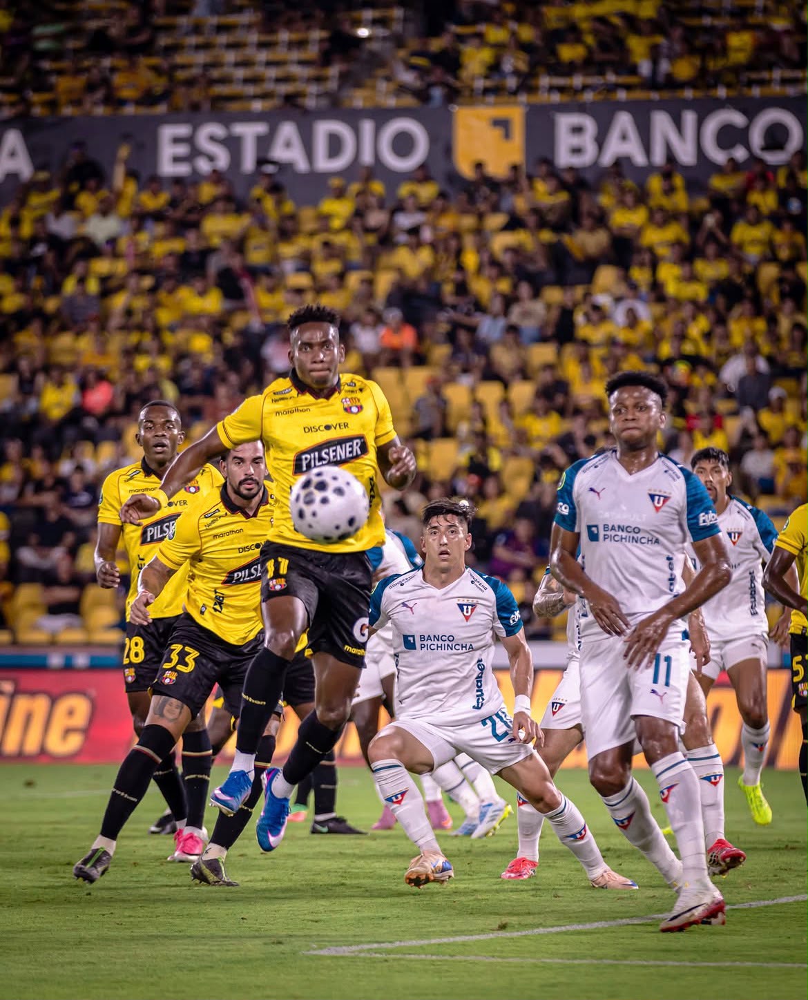 César Farías: "Espero poder torcer el destino"